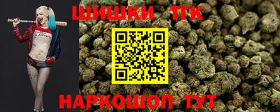 сатива Новодвинск